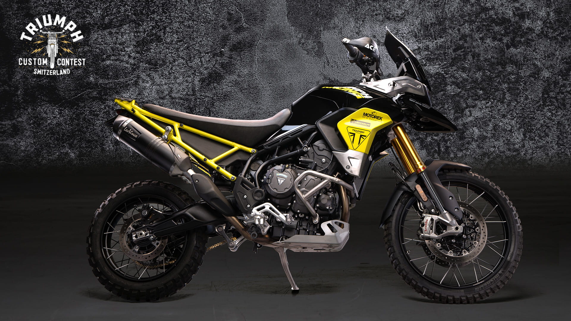 Triumph shop tiger custom